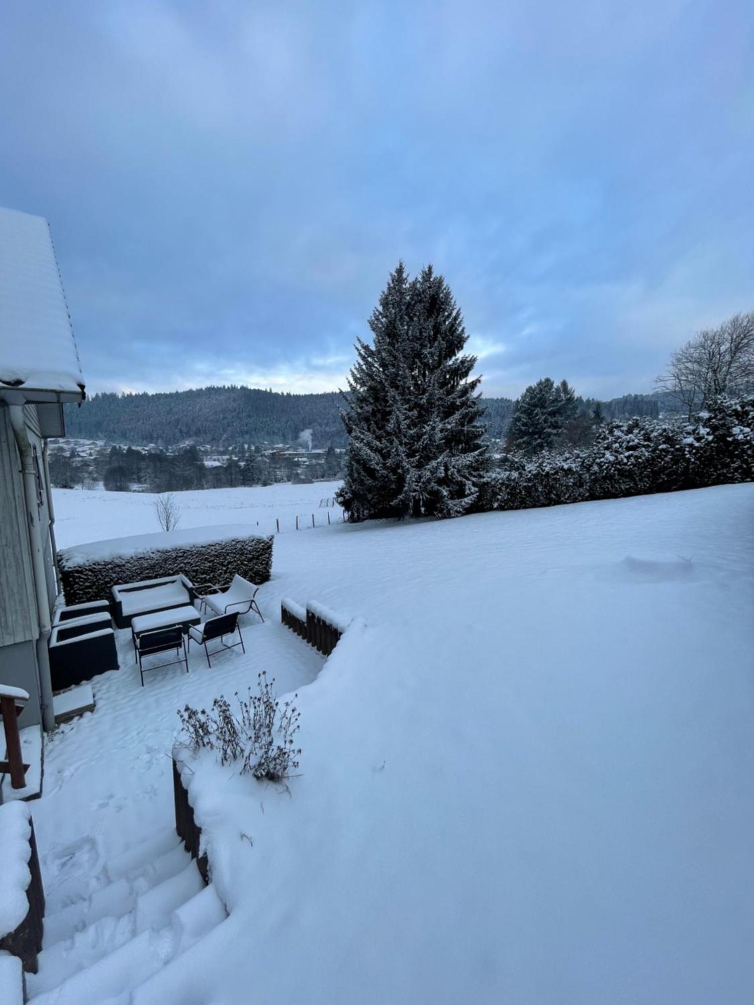 Chalet Le Cedre Bleu 10 P - 10 Min De Gerardmer Ле-Толі Екстер'єр фото