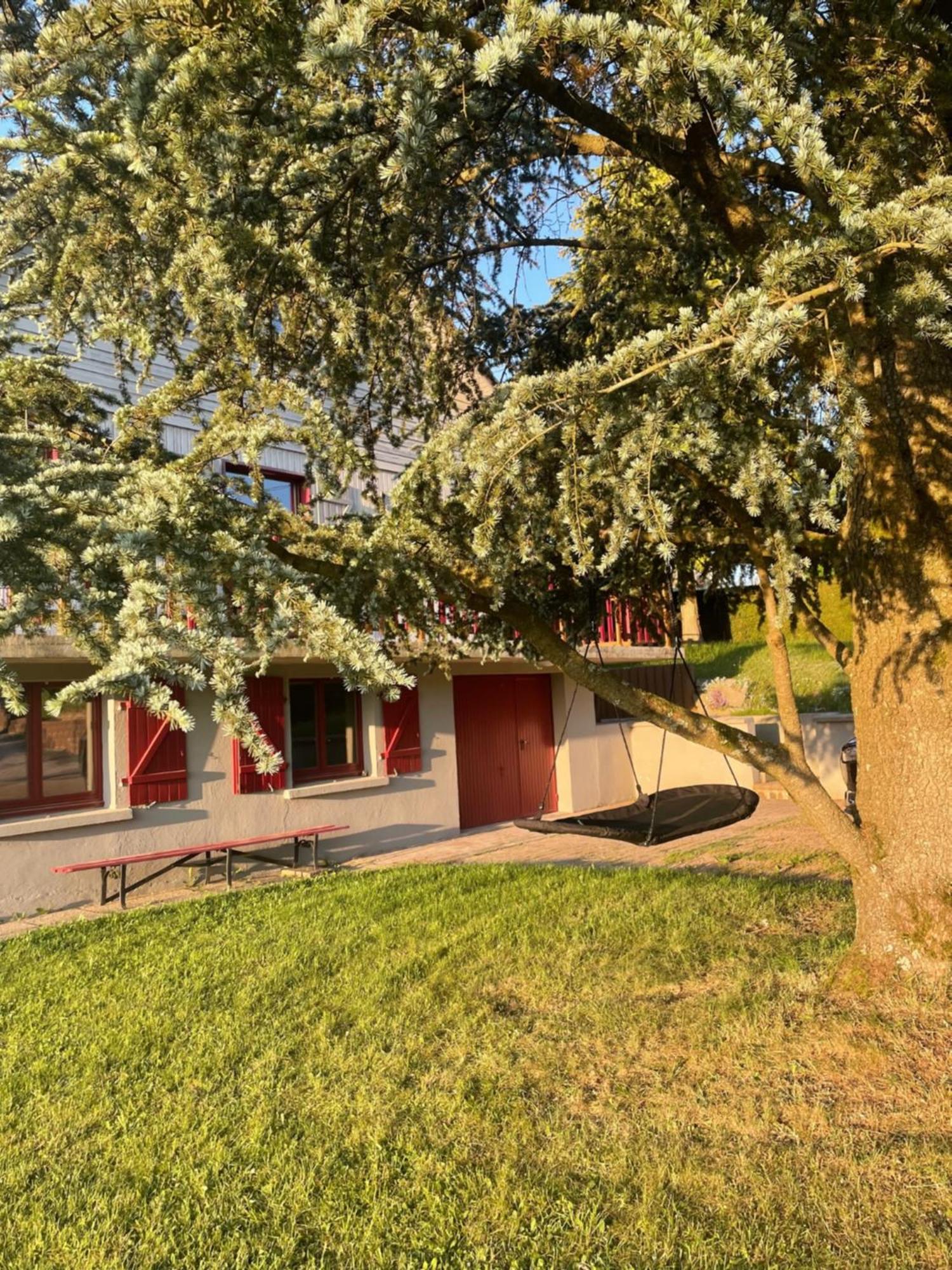 Chalet Le Cedre Bleu 10 P - 10 Min De Gerardmer Ле-Толі Екстер'єр фото